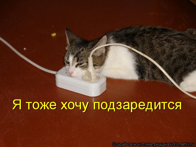 Я тоже хочу подзаредится Я тоже хочу подзаредится... Котоматрица: Я тоже хочу подзаредится Я тоже хочу подзаредится