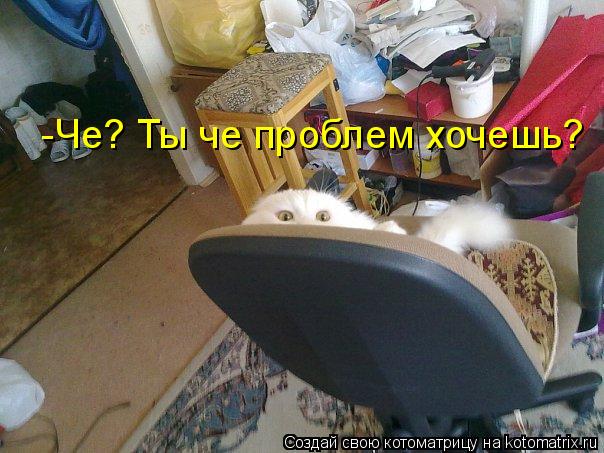 -Че? Ты че проблем хочешь?... Котоматрица: -Че? Ты че проблем хочешь?