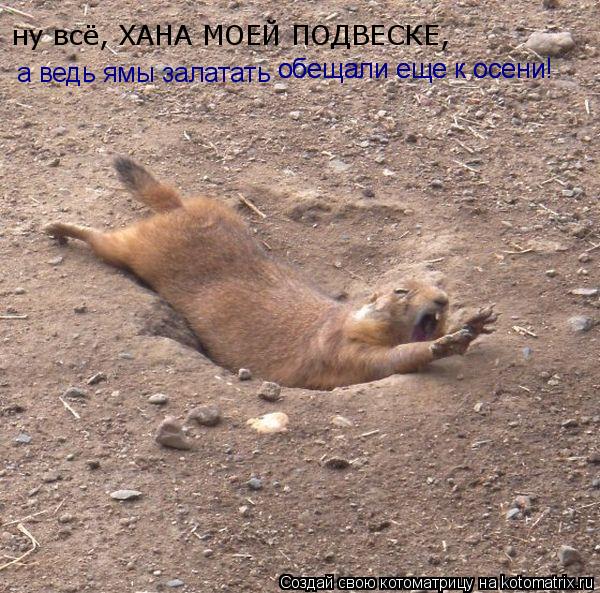 ну всё, ХАНА МОЕЙ ПОДВЕСКЕ, а ведь ямы залатать обещали еще к осени! обещали еще к осени!... Котоматрица: ну всё, ХАНА МОЕЙ ПОДВЕСКЕ, а ведь ямы залатать обещали еще к осени! обещали еще к осени!
