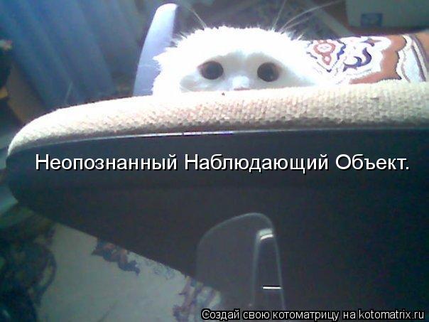 Котоматрица: Неопознанный Наблюдающий Объект.