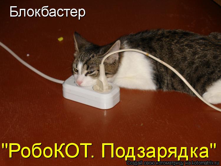 Блокбастер "РобоКОТ. Подзарядка"... Котоматрица: Блокбастер "РобоКОТ. Подзарядка"