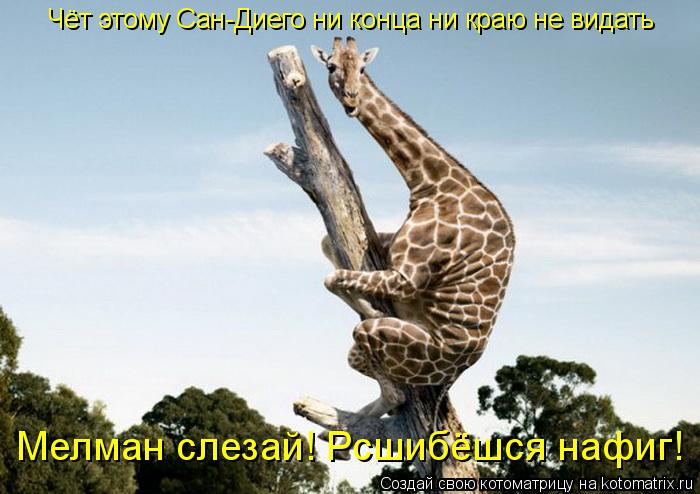 Мелман слезай! Рсшибёшся нафиг! Чёт этому Сан-Диего ни конца ни краю не видать... Котоматрица: Мелман слезай! Рсшибёшся нафиг! Чёт этому Сан-Диего ни конца ни краю не видать
