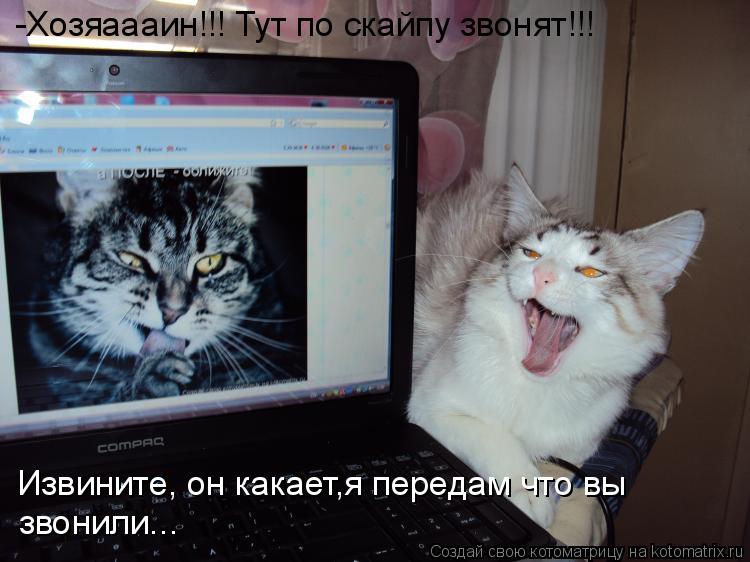 -Хозяаааин!!! Тут по скайпу звонят!!! Извините, он какает,я передам что вы звонили...... Котоматрица: -Хозяаааин!!! Тут по скайпу звонят!!! Извините, он какает,я передам что вы звонили...