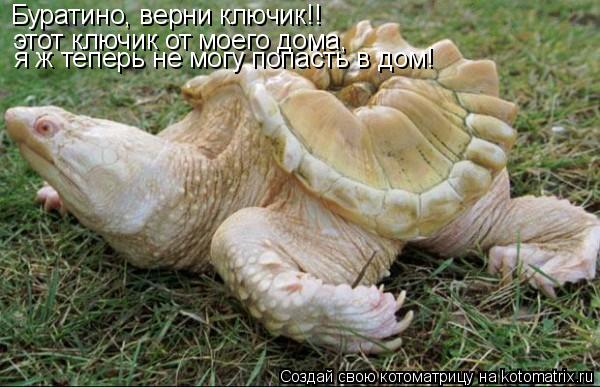 Буратино, верни ключик!! этот ключик от моего дома, я ж теперь не могу попасть в дом!... Котоматрица: Буратино, верни ключик!! этот ключик от моего дома, я ж теперь не могу попасть в дом!
