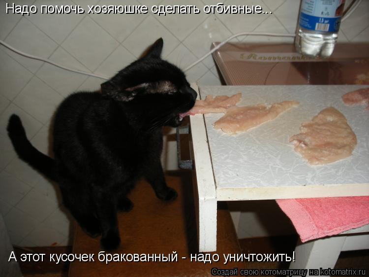 Надо помочь хозяюшке сделать отбивные... А этот кусочек бракованный - надо уничтожить!... Котоматрица: Надо помочь хозяюшке сделать отбивные... А этот кусочек бракованный - надо уничтожить!