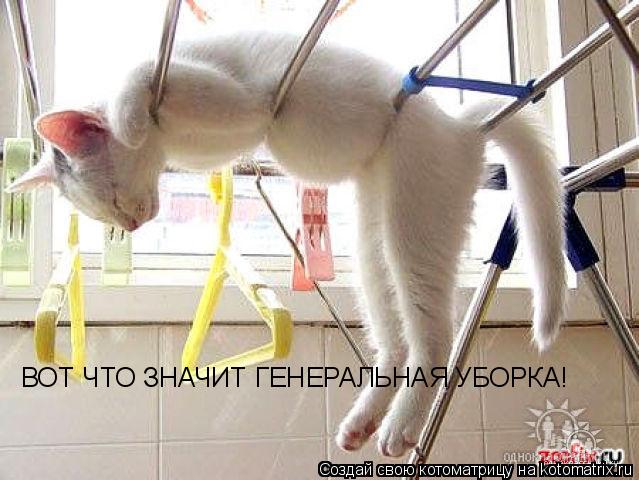 Котоматрица: ВОТ ЧТО ЗНАЧИТ ГЕНЕРАЛЬНАЯ УБОРКА!