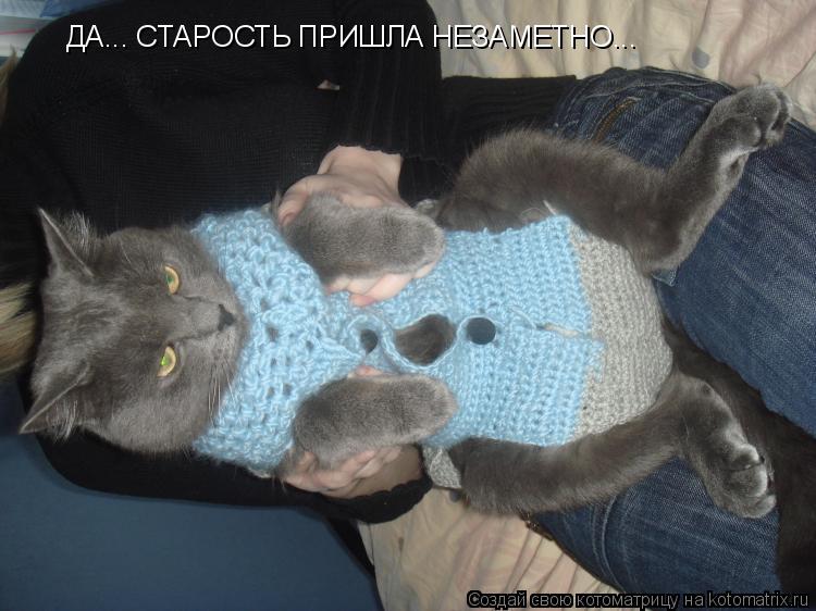 ДА... СТАРОСТЬ ПРИШЛА НЕЗАМЕТНО...... Котоматрица: ДА... СТАРОСТЬ ПРИШЛА НЕЗАМЕТНО...