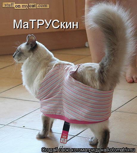 Котоматрица: МаТРУСкин