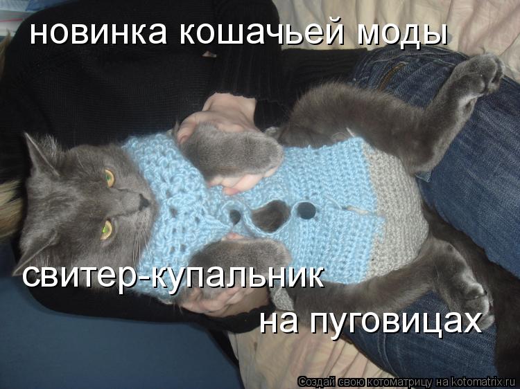 новинка кошачьей моды свитер-купальник на пуговицах... Котоматрица: новинка кошачьей моды свитер-купальник на пуговицах