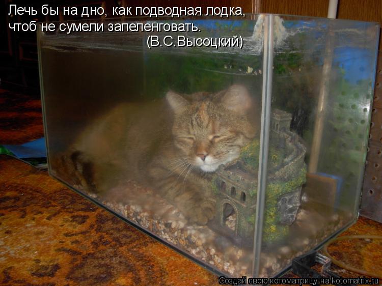 Лечь бы на дно, как подводная лодка, чтоб не сумели запеленговать. (В.С.Высоцкий)... Котоматрица: Лечь бы на дно, как подводная лодка, чтоб не сумели запеленговать. (В.С.Высоцкий)