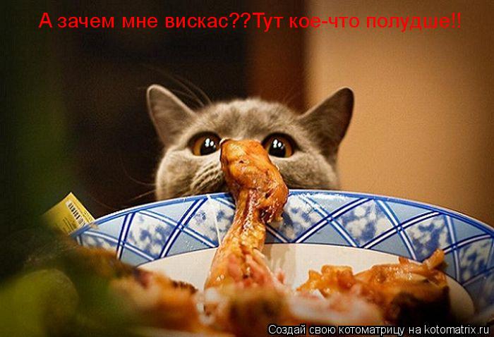 А зачем мне вискас??Тут кое-что полудше!!... Котоматрица: А зачем мне вискас??Тут кое-что полудше!!