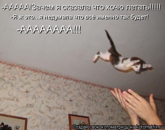 -ААААА!Зачем я сказала что хочю летать!!!!! -Я ж это...я недумала что всё именно так будет! -АААААААА... Котоматрица: -ААААА!Зачем я сказала что хочю летать!!!!! -Я ж это...я недумала что всё именно так будет! -АААААААА!!!