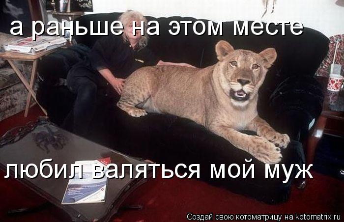 а раньше на этом месте любил валяться мой муж... Котоматрица: а раньше на этом месте любил валяться мой муж
