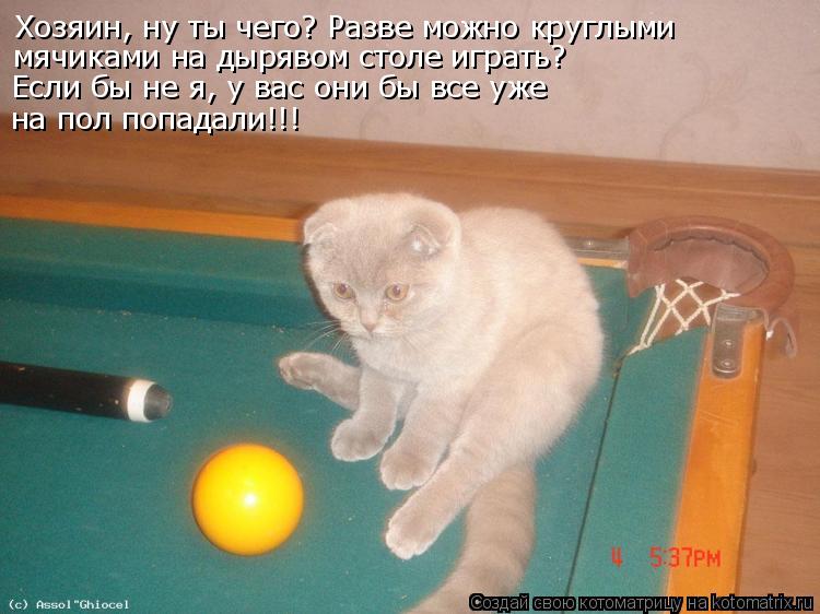 Хозяин, ну ты чего? Разве можно круглыми мячиками на дырявом столе играть? Если бы не я, у вас они бы... Котоматрица: Хозяин, ну ты чего? Разве можно круглыми мячиками на дырявом столе играть? Если бы не я, у вас они бы все уже на пол попадали!!!