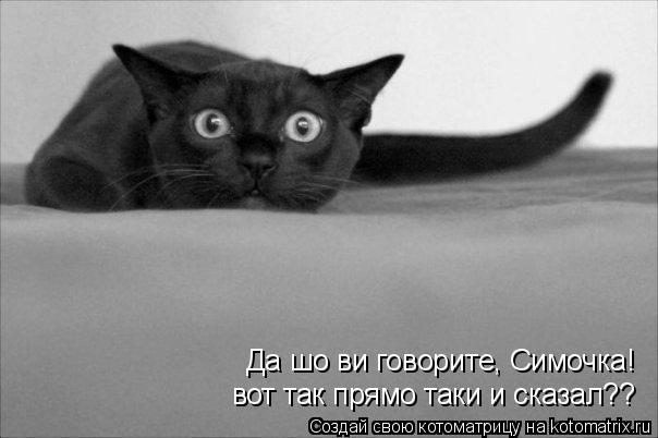 Да шо ви говорите, Симочка! вот так прямо таки и сказал??... Котоматрица: Да шо ви говорите, Симочка! вот так прямо таки и сказал??