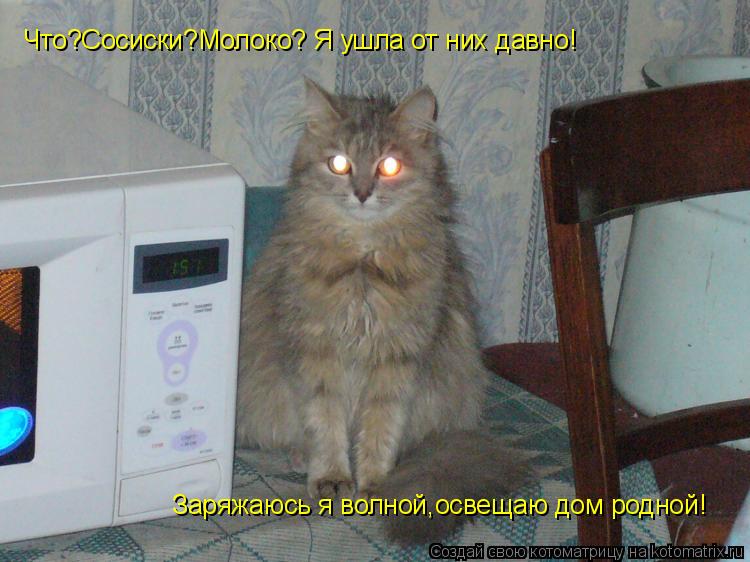 Что?Сосиски?Молоко? Я ушла от них давно Что?Сосиски?Молоко? Я ушла от них давно! Заряжаюсь я волной,о... Котоматрица: Что?Сосиски?Молоко? Я ушла от них давно Что?Сосиски?Молоко? Я ушла от них давно! Заряжаюсь я волной,освещаю дом родной!
