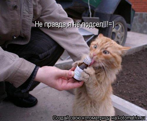 Не правда,я не подсел!!!=)... Котоматрица: Не правда,я не подсел!!!=)
