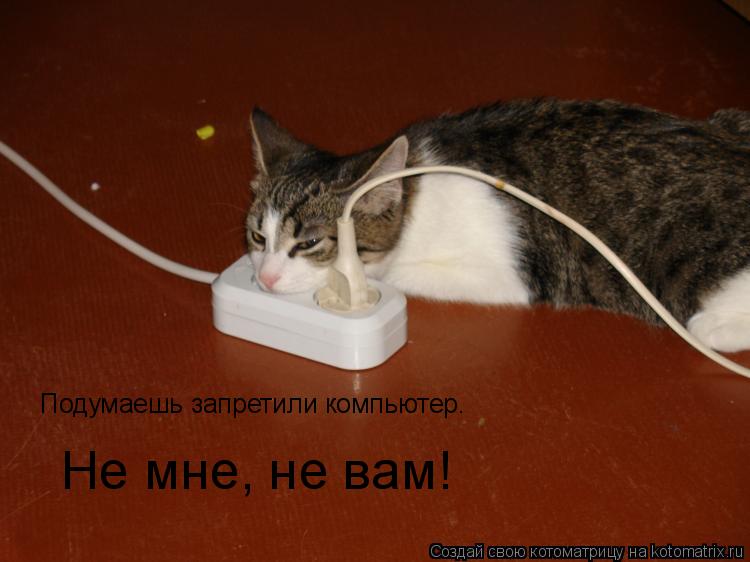 Подумаешь запретили компьютер. Не мне, не вам!... Котоматрица: Подумаешь запретили компьютер. Не мне, не вам!