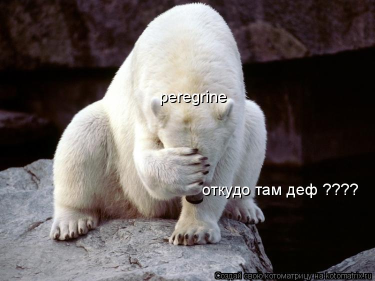 peregrine откудо там деф ????... Котоматрица: peregrine откудо там деф ????