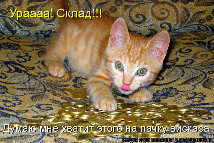 Ураааа! Склад!!! Думаю мне хватит этого на пачку вискаса... Котоматрица: Ураааа! Склад!!! Думаю мне хватит этого на пачку вискаса