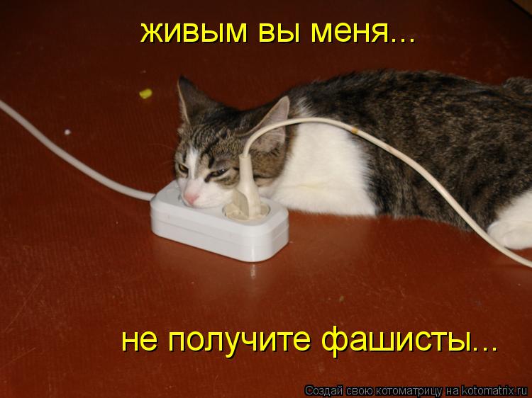 Котоматрица: живым вы меня... не получите фашисты...