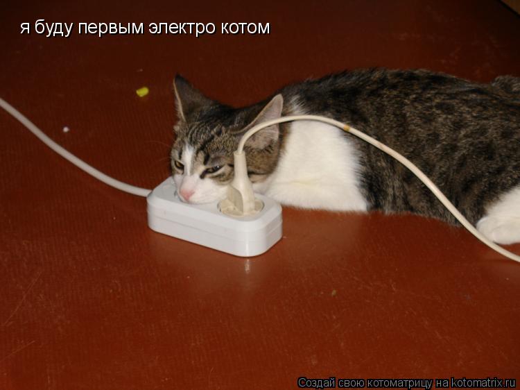 я буду первым электро котом... Котоматрица: я буду первым электро котом