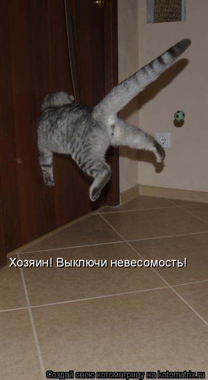 Хозяин! Выключи невесомость!... Котоматрица: Хозяин! Выключи невесомость!
