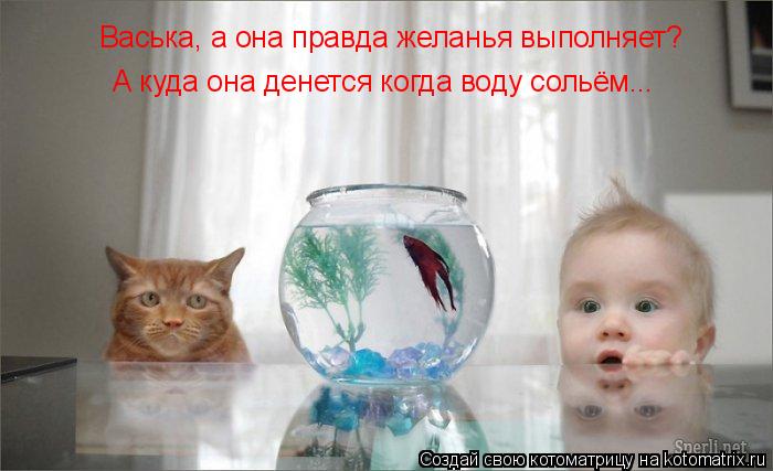 Васька, а она правда желанья выполняет? А куда она денется когда воду сольём...... Котоматрица: Васька, а она правда желанья выполняет? А куда она денется когда воду сольём...
