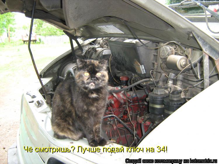 Чё смотришь? Лучше подай ключ на 34!... Котоматрица: Чё смотришь? Лучше подай ключ на 34!