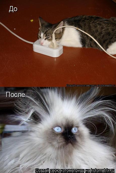 До После... Котоматрица: До После