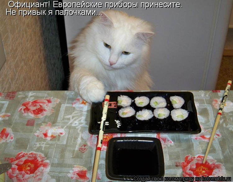 Котоматрица: Не привык я палочками... Официант! Европейские приборы принесите.