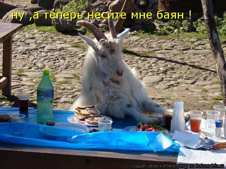 Котоматрица: ну ,а теперь несите мне баян !