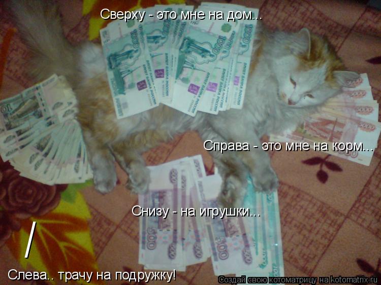 Справа - это мне на корм... Сверху - это мне на дом... Снизу - на игрушки... Слева.. трачу на подружк... Котоматрица: Справа - это мне на корм... Сверху - это мне на дом... Снизу - на игрушки... Слева.. трачу на подружку! /