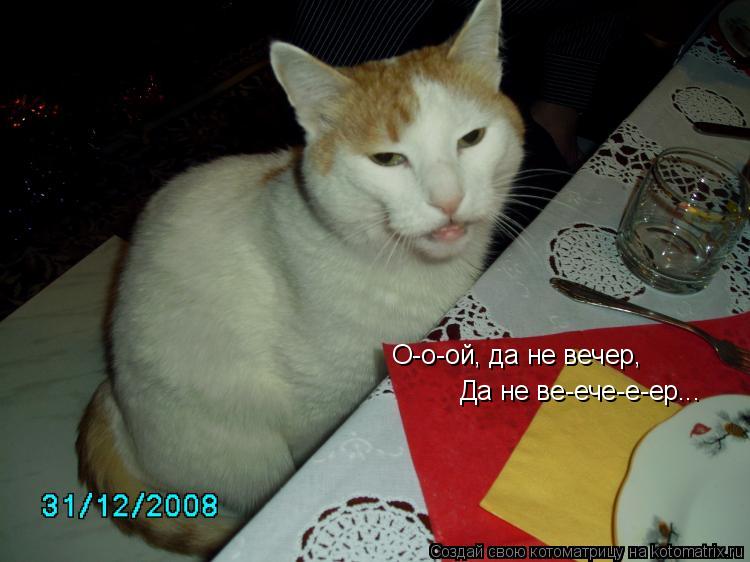 Котоматрица: О-о-ой, да не вечер, Да не ве-ече-е-ер...