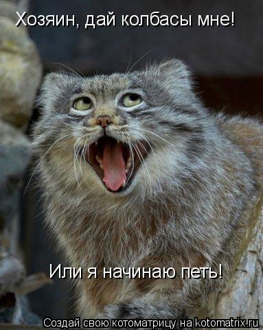Хозяин, дай колбасы мне! Или я начинаю петь!... Котоматрица: Хозяин, дай колбасы мне! Или я начинаю петь!