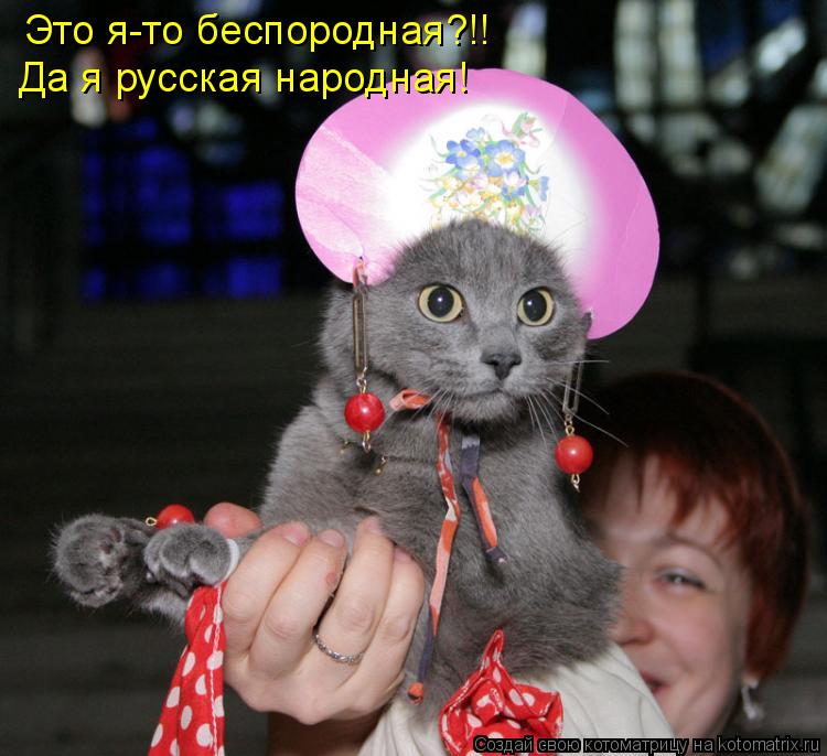 Это я-то беспородная?!! Да я русская народная!... Котоматрица: Это я-то беспородная?!! Да я русская народная!