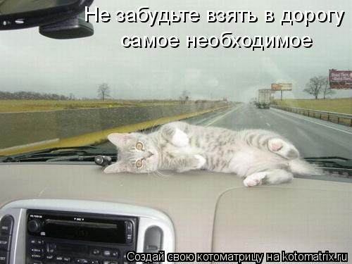 Не забудьте взять в дорогу самое необходимое... Котоматрица: Не забудьте взять в дорогу самое необходимое