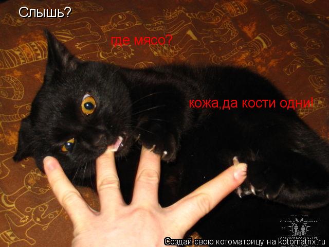 Котоматрица: Слышь? где мясо? кожа,да кости одни!