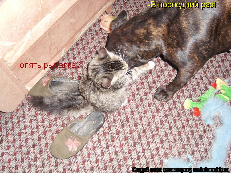 Котоматрица: -опять рыбалка? -В последний раз!