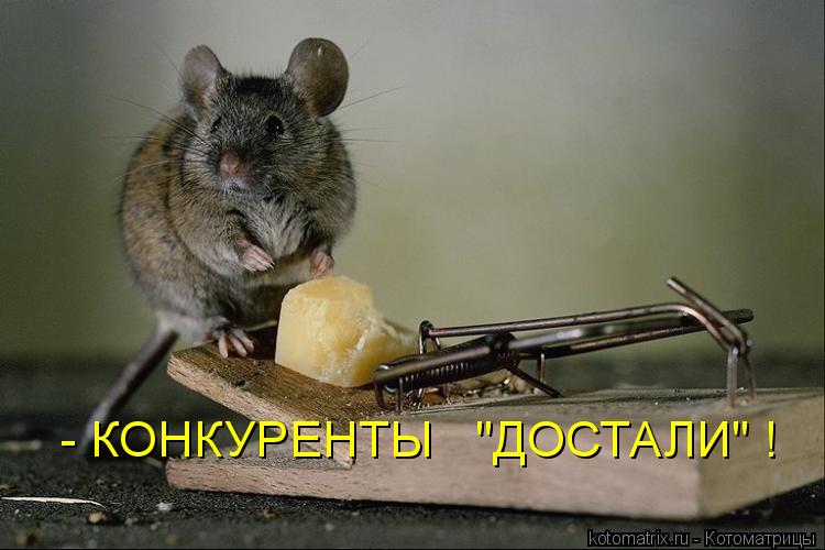 - КОНКУРЕНТЫ "ДОСТАЛИ" !... Котоматрица: - КОНКУРЕНТЫ "ДОСТАЛИ" !