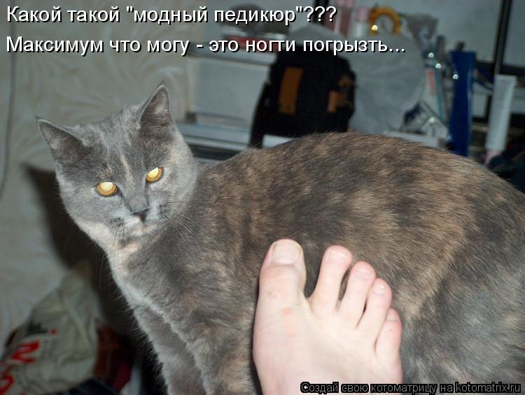 Котоматрица: Какой такой "модный педикюр"??? Максимум что могу - это ногти погрызть...