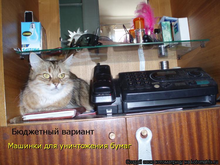 Котоматрица: Бюджетный вариант Машинки для уничтожения бумаг