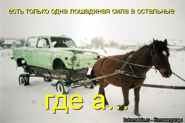 есть только одна лошадиная сила а остальные где а...... Котоматрица: есть только одна лошадиная сила а остальные где а...