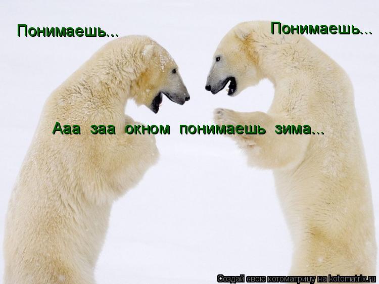 Понимаешь... Понимаешь... Ааа заа окном понимаешь зима...... Котоматрица: Понимаешь... Понимаешь... Ааа заа окном понимаешь зима...