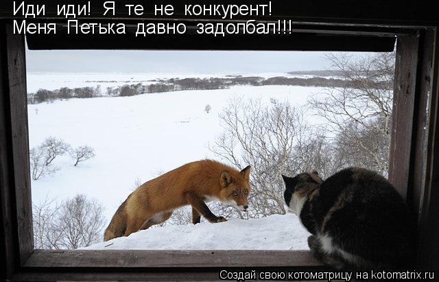 Иди иди! Я те не конкурент! Меня Петька давно задолбал!!!... Котоматрица: Иди иди! Я те не конкурент! Меня Петька давно задолбал!!!