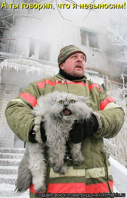 Котоматрица: А ты говорил, что я невыносим!
