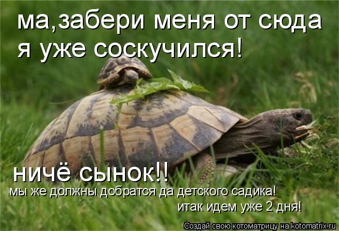 Котоматрица: ма,забери меня от сюда я уже соскучился! ничё сынок!! мы же должны добратся да детского садика! итак идем уже 2 дня!