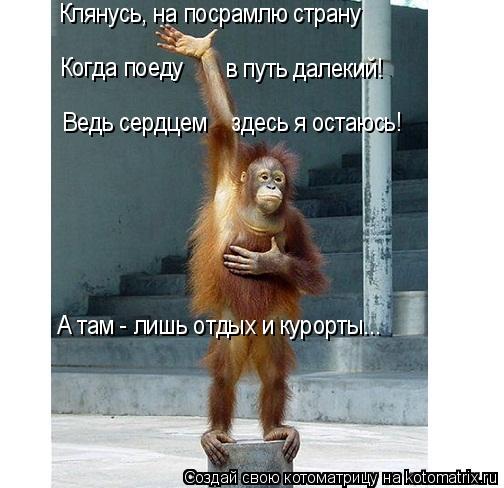 Котоматрица: Клянусь, на посрамлю страну Когда поеду  в путь далекий! Ведь сердцем    здесь я остаюсь! А там - лишь отдых и курорты...