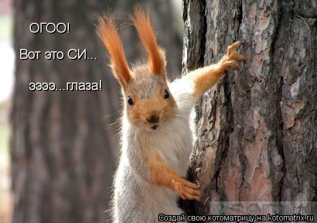 Котоматрица: ОГОО! Вот это СИ... ээээ...глаза!