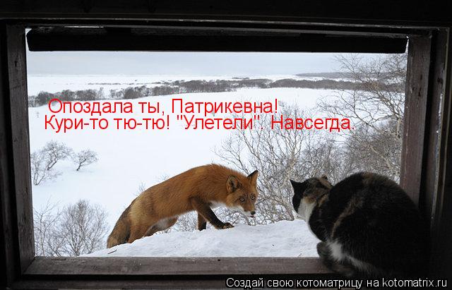 Котоматрица: Опоздала ты, Патрикевна! Кури-то тю-тю! "Улетели". Навсегда.